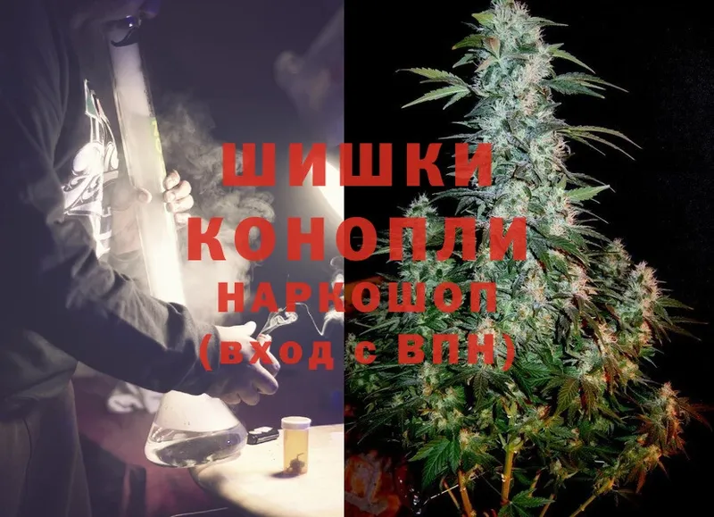 сколько стоит  MEGA ссылки  Бошки марихуана White Widow  Качканар 